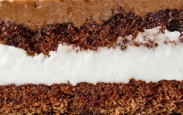 Cake layers of dark sponge and white cream chocolate closeup side view