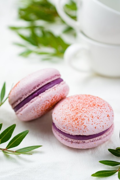 Cake macarons stuffed with currants and white chocolate
delicious french dessert for coffee drinking