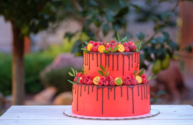 Torta a due livelli con crema rossa e lampone su un tavolo di legno bianco nel giardino estivo