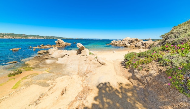 Cala dei GInepri in Costa Smeralda Sardinia