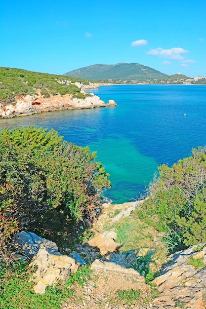 Cala Dragunara shore on a clear day Sardinia