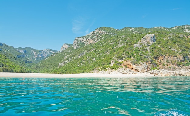 Cala Luna op een heldere dag Sardinië