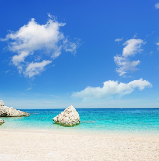 Cala Mariolu op een heldere dag Sardinië