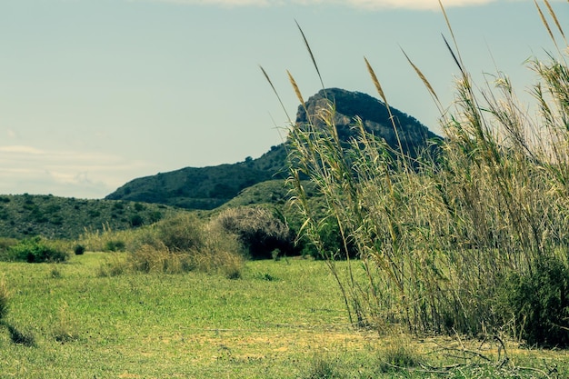 Parco naturale calblanque a cartagena murcia