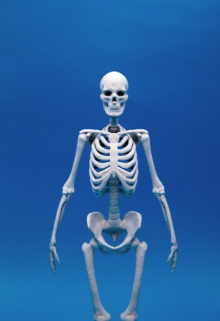 Foto osso umano calcio su sfondo di colore di sfocatura
