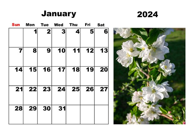 Photo calendar for 2024 january with photo of flowers