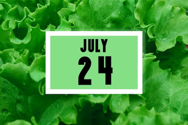 Photo calendar date on calendar date background of green lettuce leaves july 24 twentyfourth day month