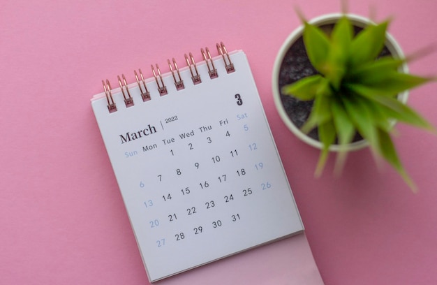 Calendar for March 2022 on a pink background with a copy of the space.