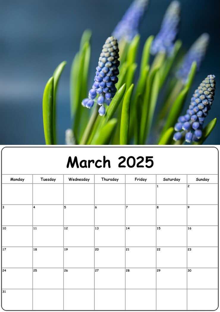 2025年3月までのカレンダー