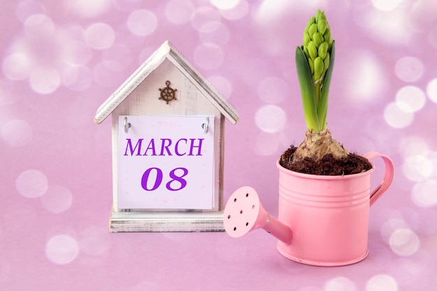 Calendar for march 8 decorative house with the name of the\
month march in english numbers 08 growing hyacinth planted in a\
pink watering can pastel background bokeh