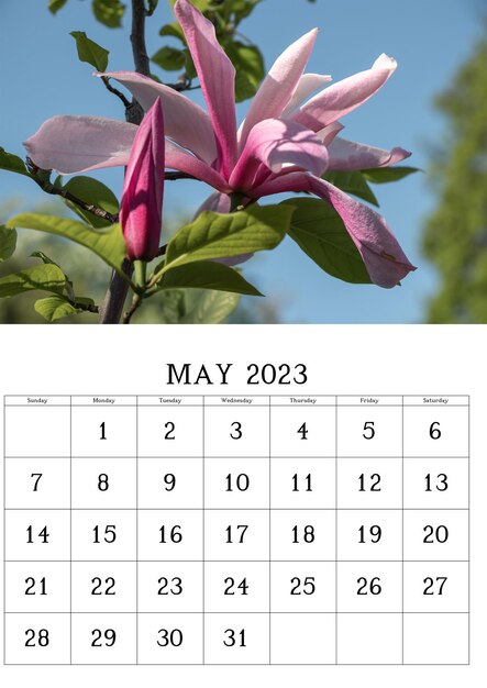 Calendar for May 2023