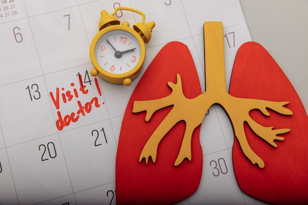 Calendar with mark, model of lung and yellow alarm clock close-up. Healthcare and early diagnostic concept.