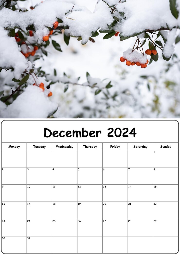 自然写真のカレンダー 2024年12月