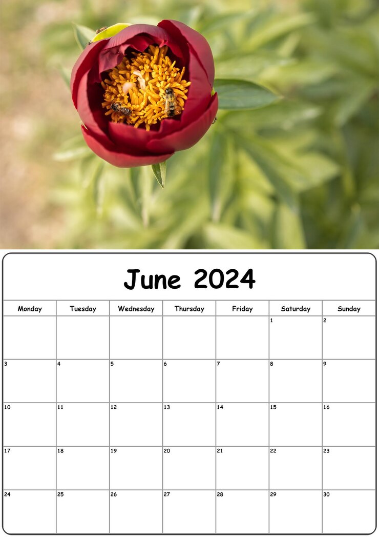 自然写真のカレンダー 2024年6月