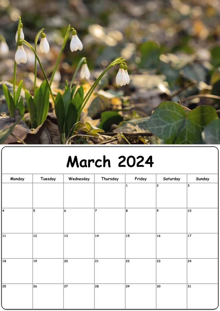 自然写真のカレンダー 2024年3月