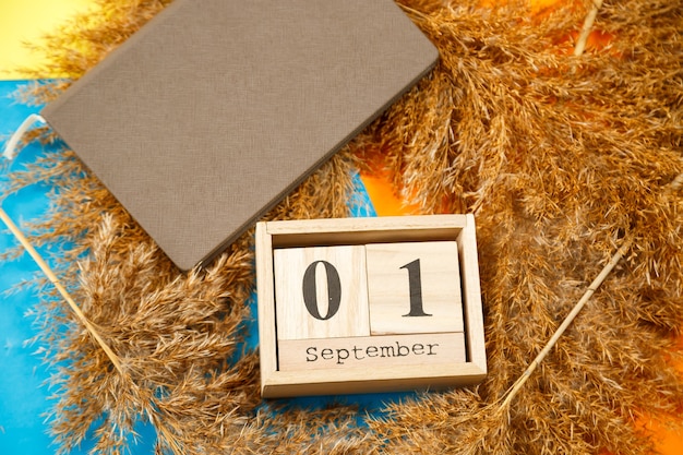 Calendar of wooden cubes with numbers and months. notepad with\
white sheets. the first day of the school year. choosing a number\
on a wooden calendar. september 1. september date