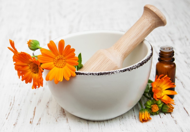 Calendula bloemen