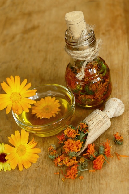 L'estratto di calendula. piante medicinali bottiglie e petali di calendula officinalis essiccati con olio macerato sul tavolo di legno.