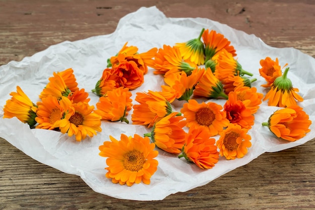 Calendula flowers harvested for drying