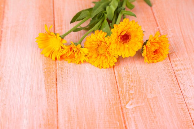 Calendula flowers on wooden background