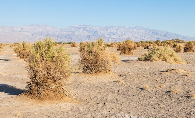 Californië, zonsopgang in Death Valley Desert onder een blauwe lucht