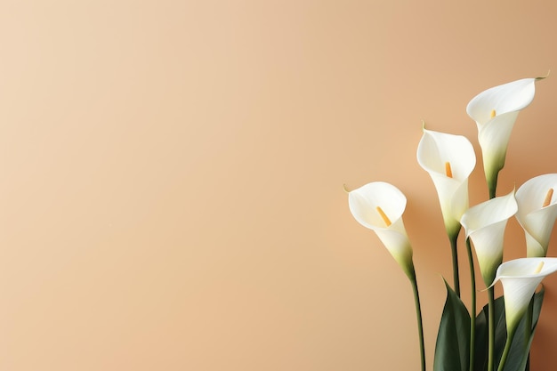 Photo calla lilies minimal romantic scene generative ai