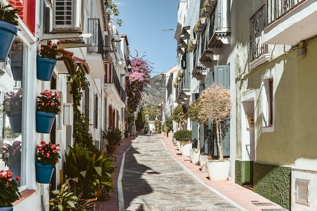 Фото calle con casas en el pueblo de san pedro de alcantara