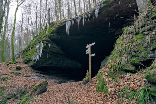Foto la cosiddetta grotta dell'orso nella foresta del palatinato