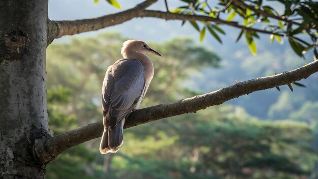 Calm bird on a branch