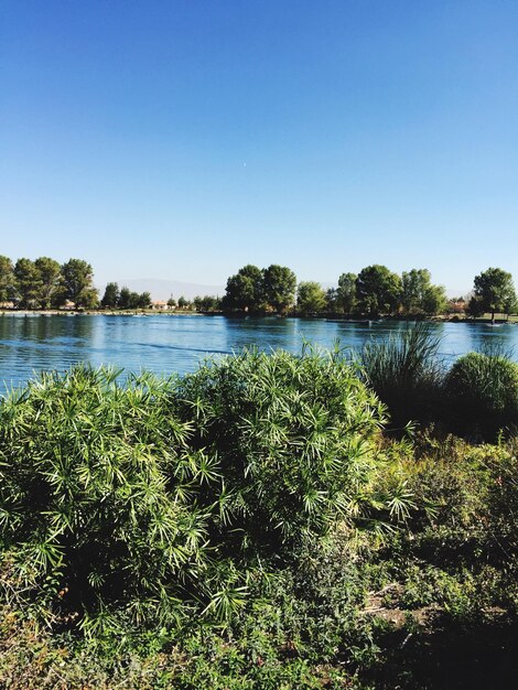 Calm lake against clear blue sky