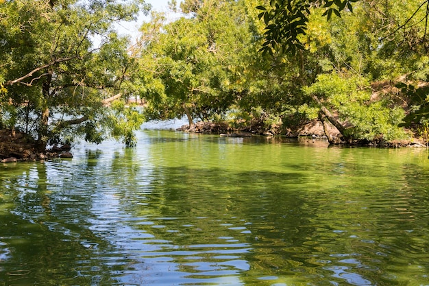 Calm lake in green park on summer