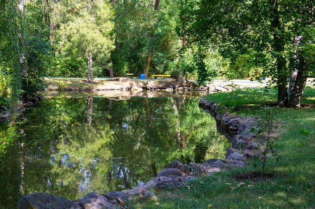 Lago calmo nel parco verde d'estate