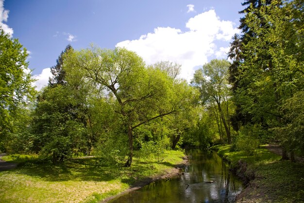 calm picturesque spring landscape with green trees in the park in Zelazowa Wola in Poland