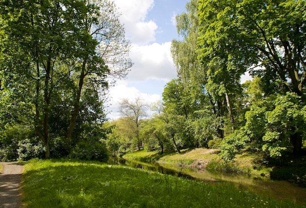 緑の樹木が茂る静かな春の風景 ポーランドのゼラゾワ・ヴォーラの公園