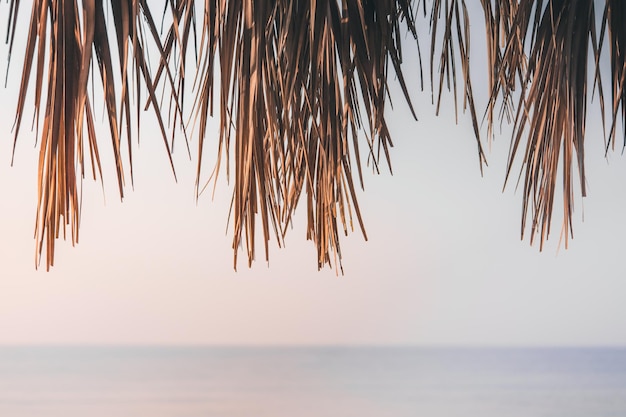 Calm relaxing travel background with neutral colors Blowing beige and dry palm tree of beach umbrella with sunrise sky and sea Copy space for your text Banner on page cover and website Soft focus