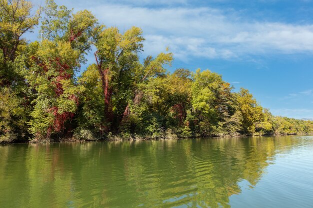 Calm river at the time of autumn with yellow leaves