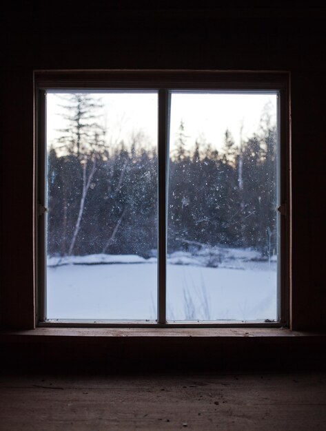 Calm Scene of Winter Nature Through the Window Pane