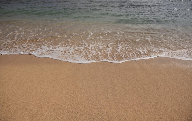 Calm sea beach background summer tropical beach with sand ocean water natural seascape