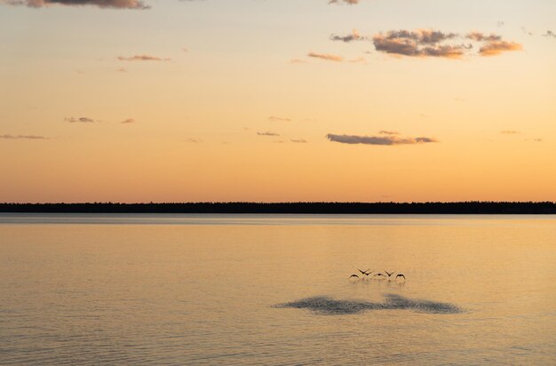 Calm sea on the dramatic sunset