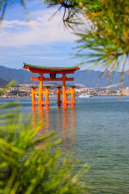 静かな海と背景の建物