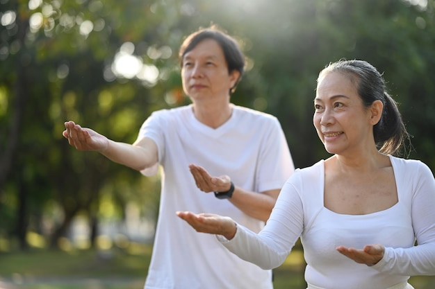 静かな高齢夫婦が ⁇ 公園で朝に太極拳を練習し ⁇ 健康的なライフスタイルコンセプトを実践しています ⁇ 