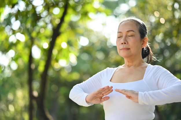 写真 静かな年配の女性が目を閉じて 自然の中で瞑想や伝統的な太極拳を練習しています