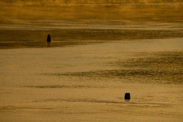 Calm water of a river during dusk photo