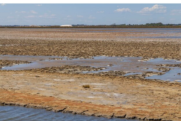 Camargue in France