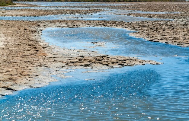 Camargue in Frankrijk