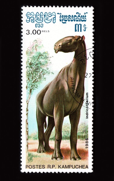 Камбоджа CIRCA 1986 Камбоджийская почтовая марка, посвященная динозавру Paraceratherium, изображенная на почтовой марке древнего животного, изолированного на черном фоне динозавра Paraceratherium.