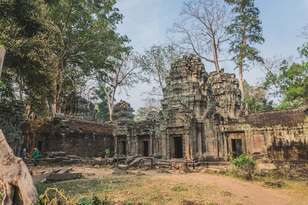 Cambodja Angkor Wat Ta Prohm-tempel