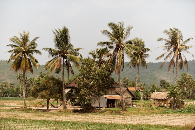 Cambodjaans plattelandslandschap