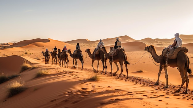 Camel caravan going through the Sahara desert in Morocco at sunset