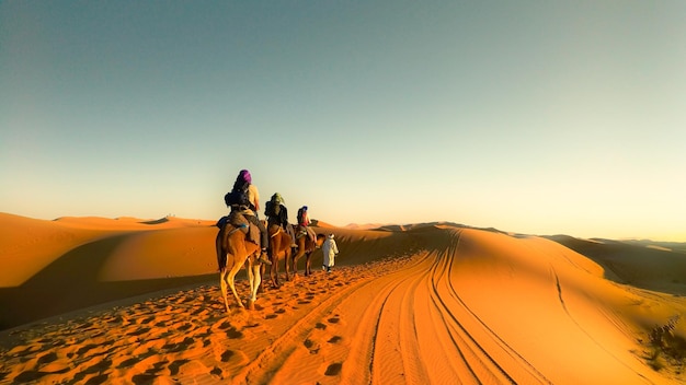 Why Desert Safari Tours Are A Must-Do In Dubai